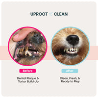 Uproot Dental Wipes
