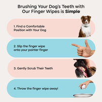 Uproot Dental Wipes
