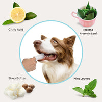 Uproot Dental Wipes