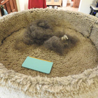 Fur-nado Survival Kit - Uproot Mini, Pro & Max